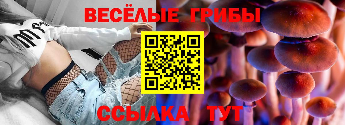 Кувандык  Галлюциногенные грибы прущие грибы  Вход с VPN 