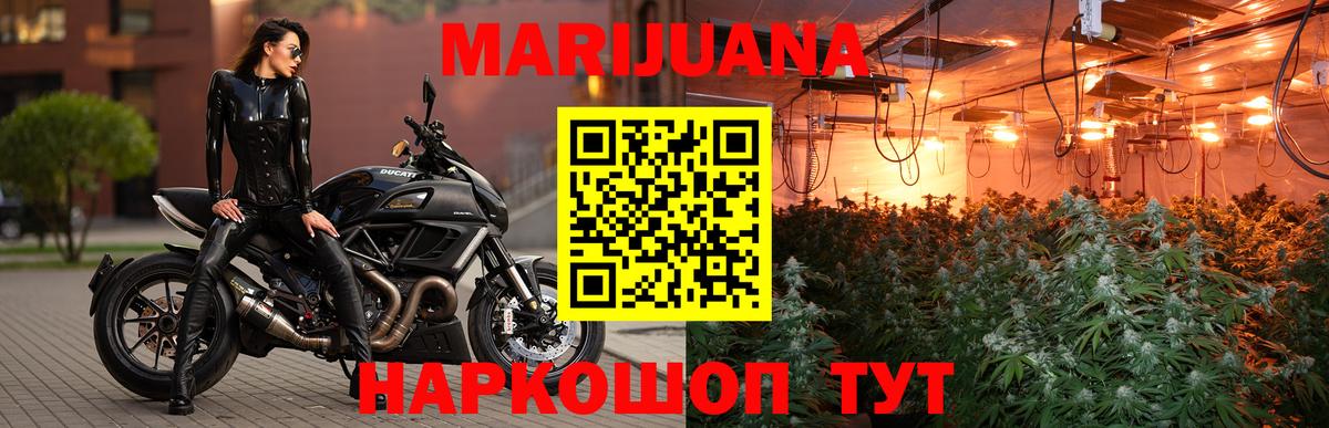 Конопля Ganja  Вход с VPN  Марихуана White Widow  Каннабис план  Кувандык 